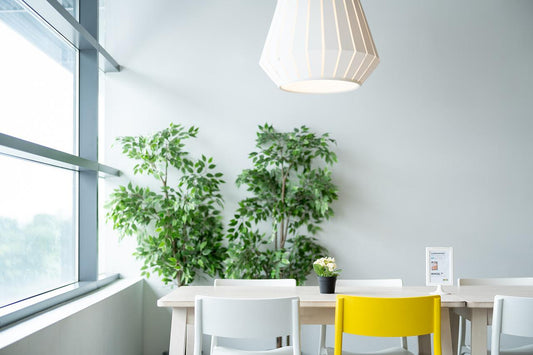 Why I Love Lamps and Lamp Shades