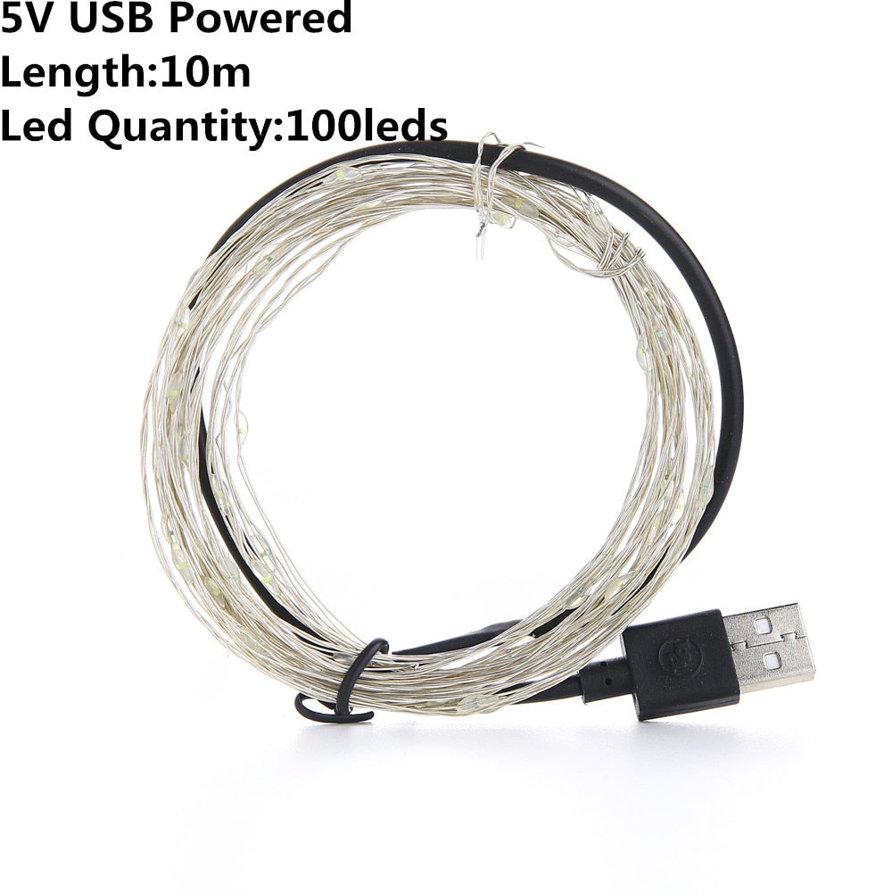 Christmas Light Led Outdoor Battery USB Powered 2m 5m10m String Lights