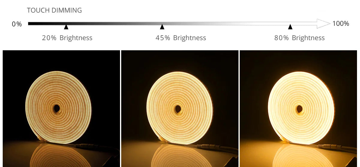 DC12V Neon Light LED Strip with RF Remote Control SMD 2835