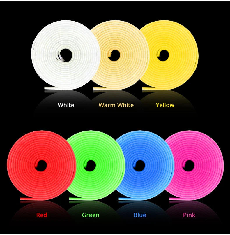 DC12V Neon Light LED Strip with RF Remote Control SMD 2835
