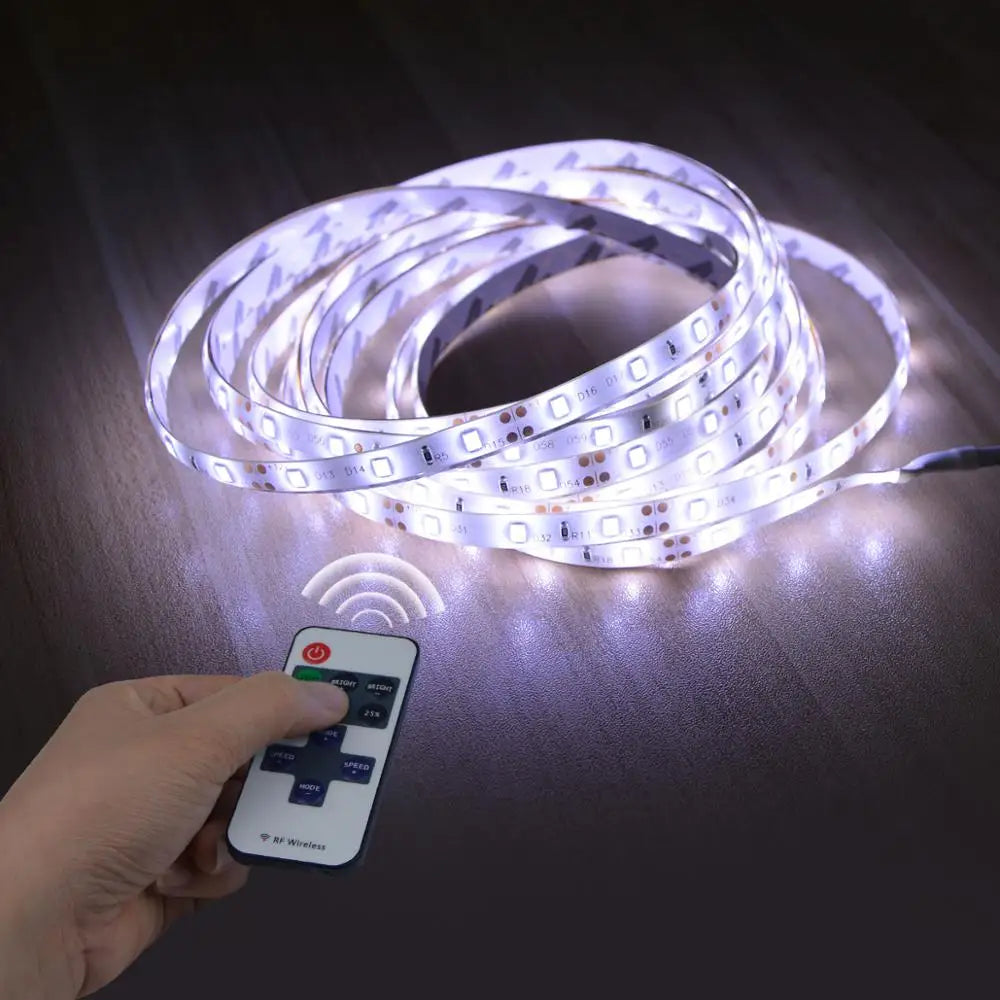 12V LED Strip Light 1M 2M 3M 4M 5M Dimmable LED Lamp Tape