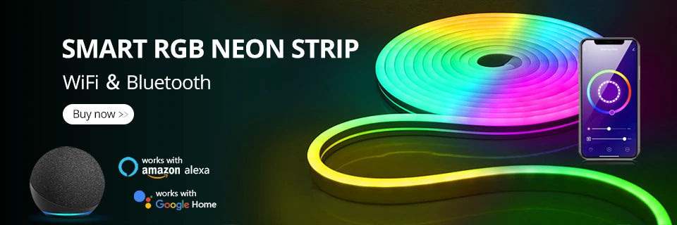 DC12V Neon Light LED Strip with RF Remote Control SMD 2835