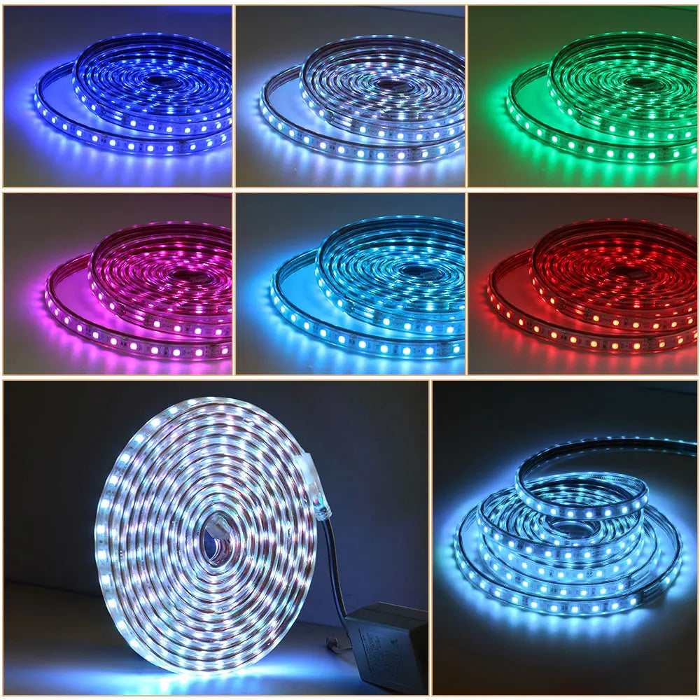 RGB LED Strip Light 220V Waterproof/Multi-Colors/Multi-Modes