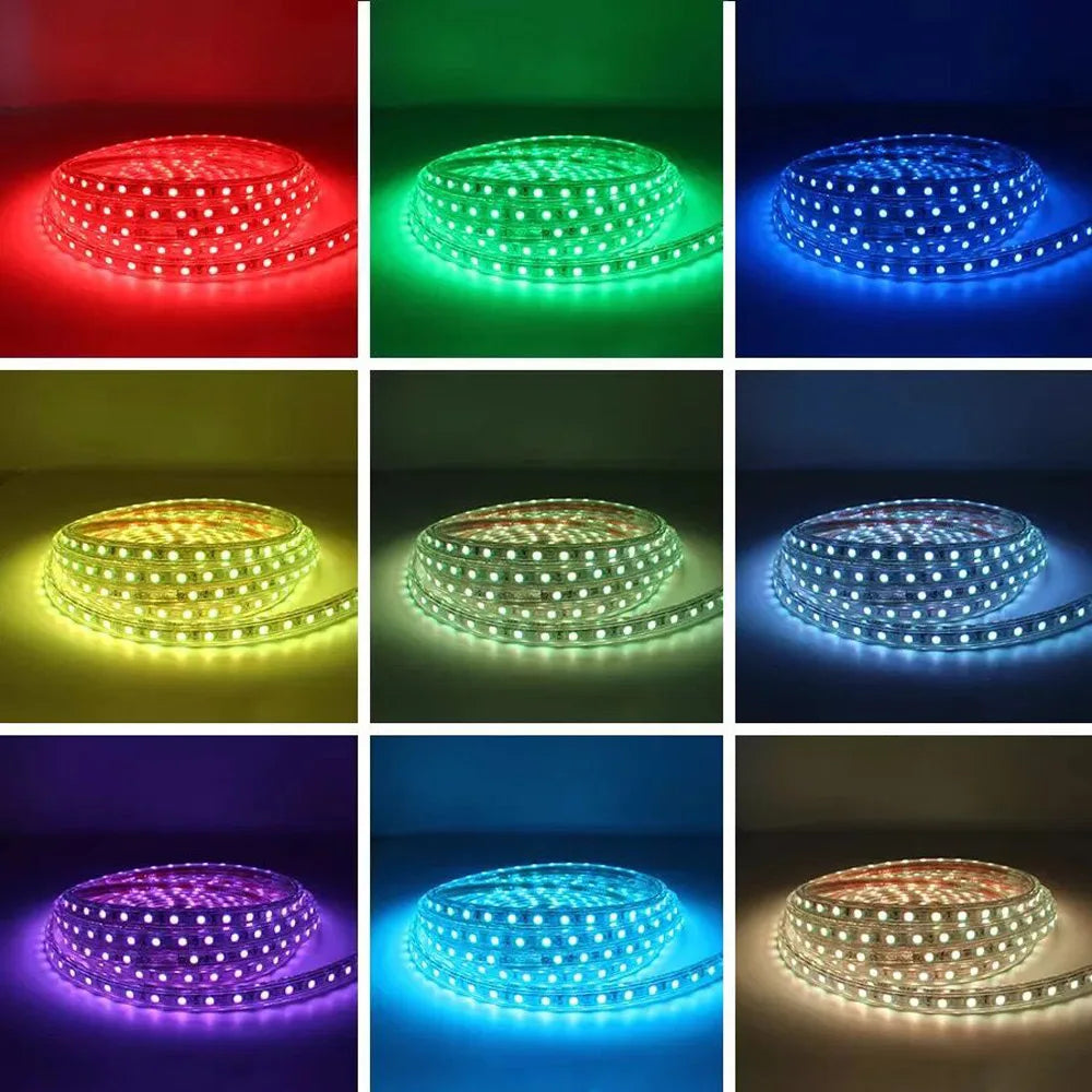 RGB LED Strip Light 220V Waterproof/Multi-Colors/Multi-Modes