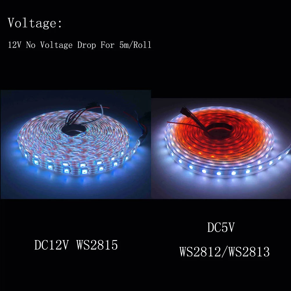 DC12V WS2815 led strip light Individually Addressable LED Lights