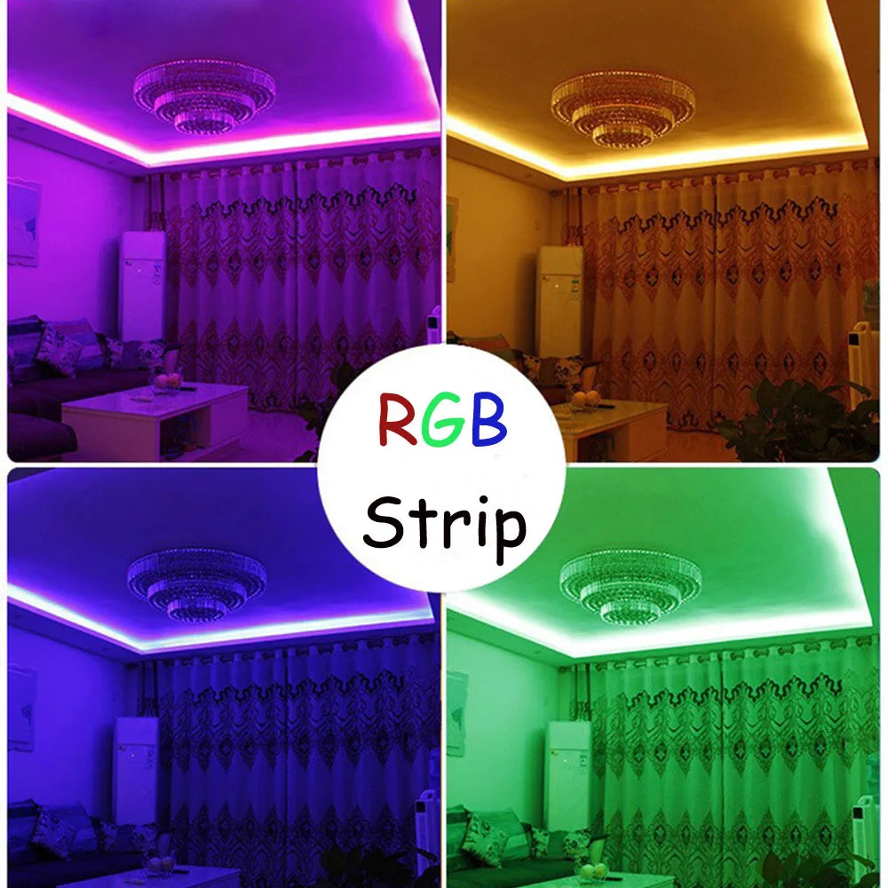 RGB LED Strip Light 220V Waterproof/Multi-Colors/Multi-Modes
