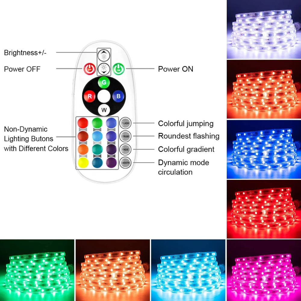 RGB LED Strip Light 220V Waterproof/Multi-Colors/Multi-Modes