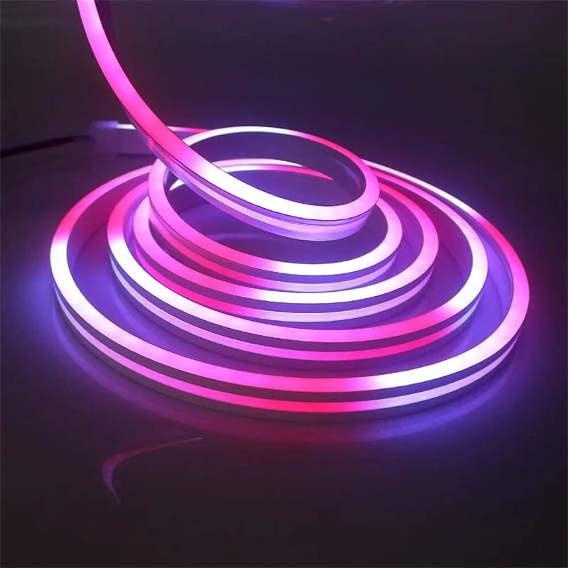RGBIC Bluetooth Neon Led Strip Lights 5V Neon Strip Light
