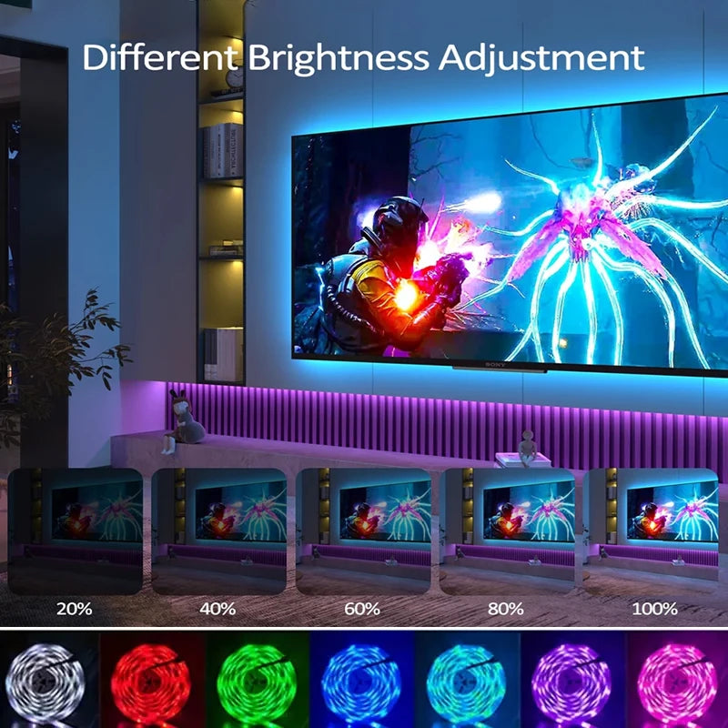 5050 RGB LED strip light with 44 keys remote control light strip