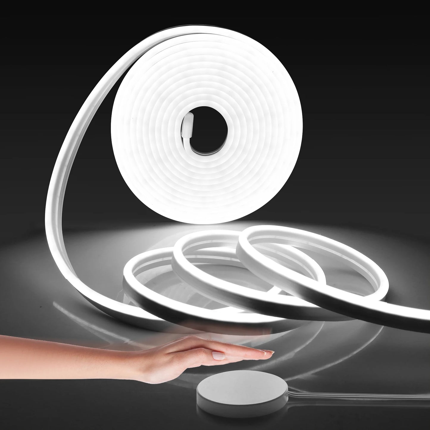 EU plug 12V/24V Neon Strip 1/2/3/5/10M Neon LED Strip Lighting