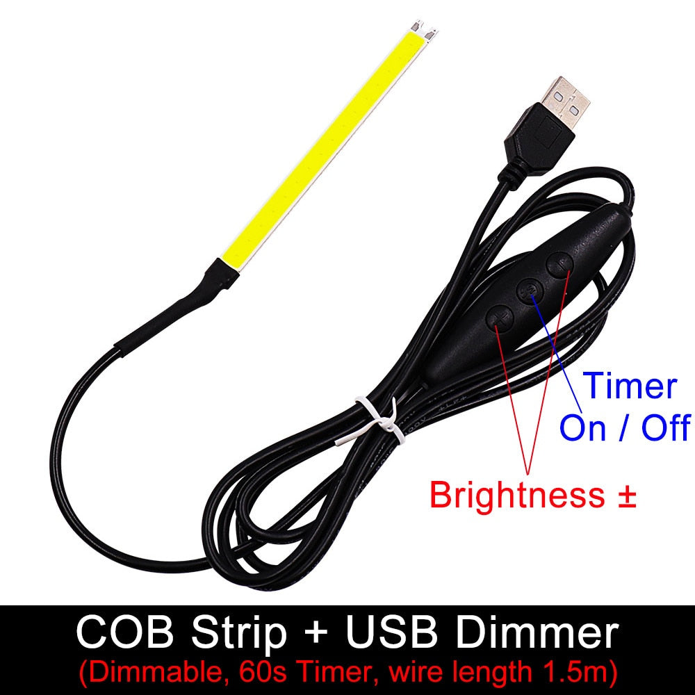 COB LED Light Chip 2W Warm Cool White Color