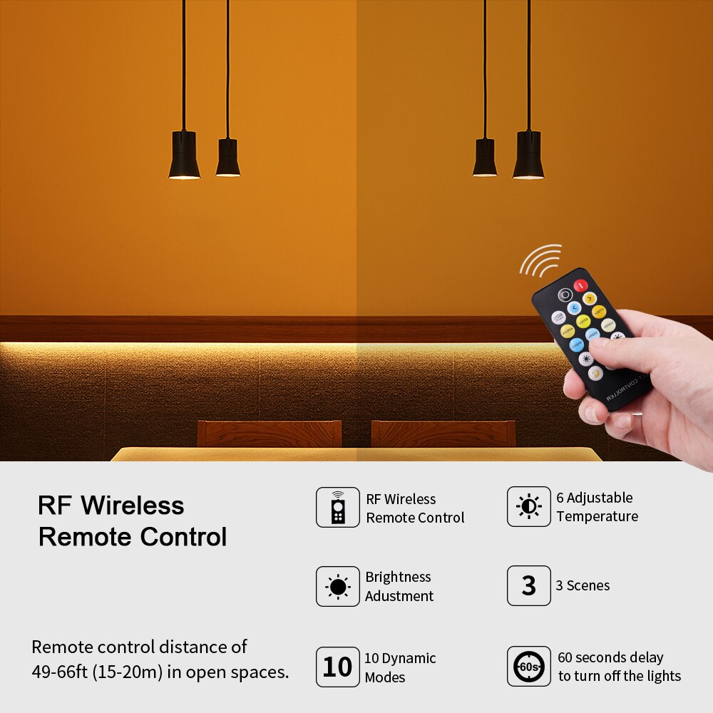 Color Temp Dimmable 3 2 Wire Bicolor LED Tape