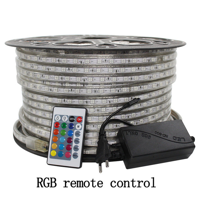 RGB LED Strip Light 5050 Waterproof with wireless Controller plug led lighting