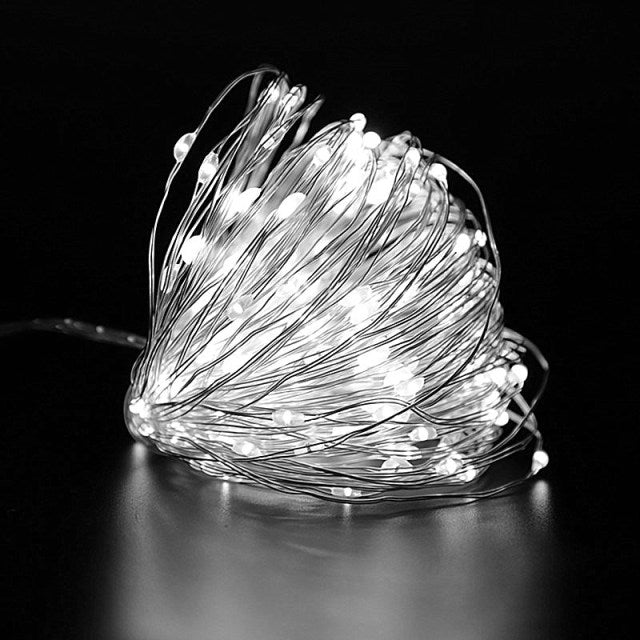 LED Strip Light Battery Box Copper Wire String Lights