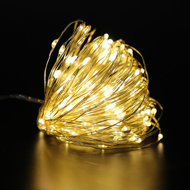 LED Strip Light Battery Box Copper Wire String Lights