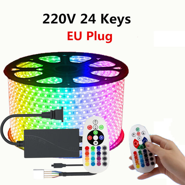 luces led strip Outdoor garden led strips white light