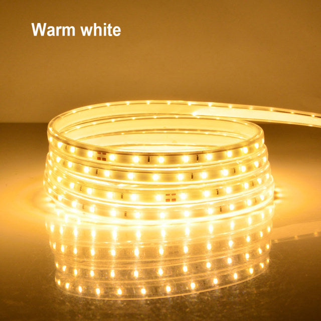 High Quality AC LED Strip Lights Flexible Outdoor Lamp Waterproof LED Tape