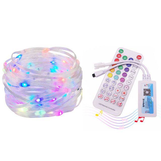 LED String Lights Addressable Individually RGB IC Dream Color Christmas Decoration