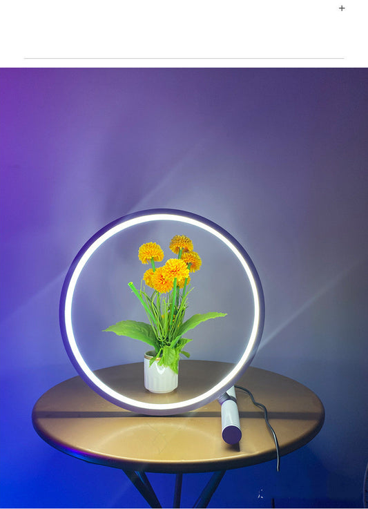 Nodic Circle Light Usb Color Changing Led Lamp