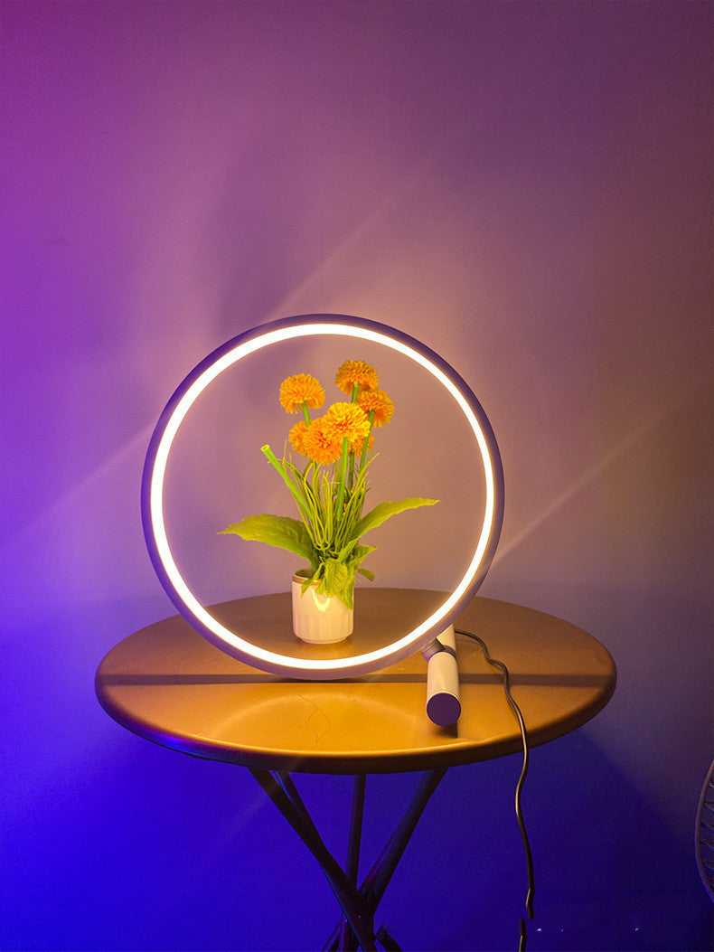 Nodic Circle Light Usb Color Changing Led Lamp