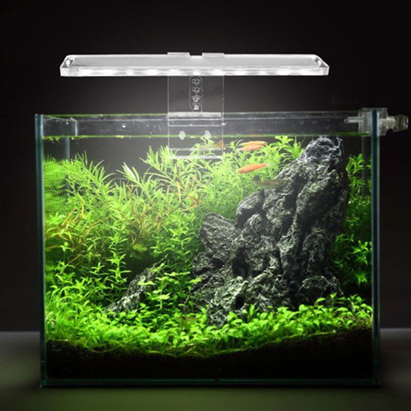 LED fish tank light