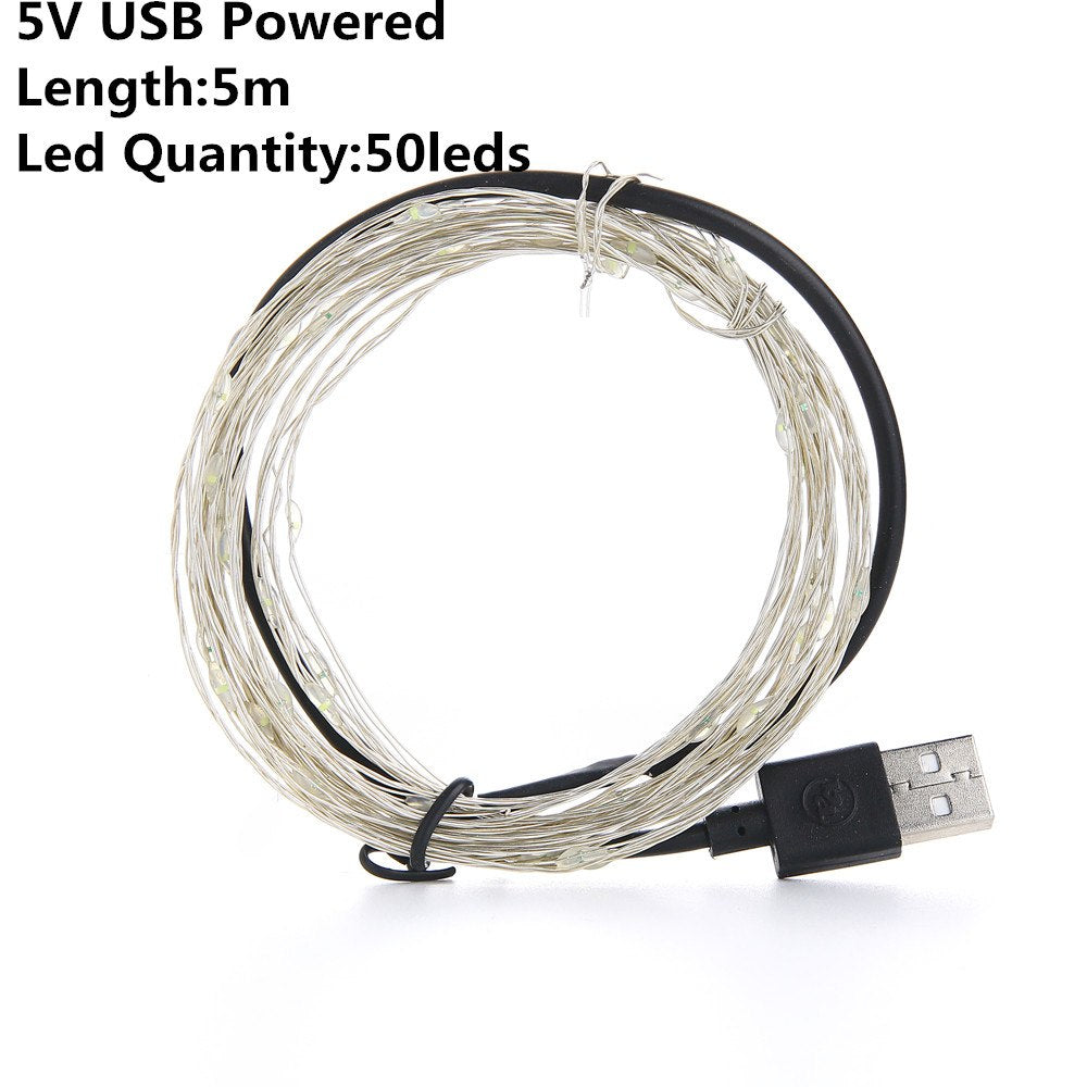 Christmas Light Led Outdoor Battery USB Powered 2m 5m10m String Lights
