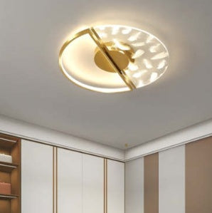 New LED Ceiling Light Modern Simple And Light