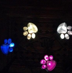 Solar Powered Animal Paw Print Lights LED Solar Lamps Outdoors