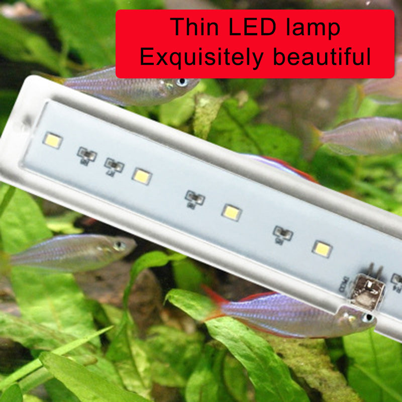 LED fish tank light