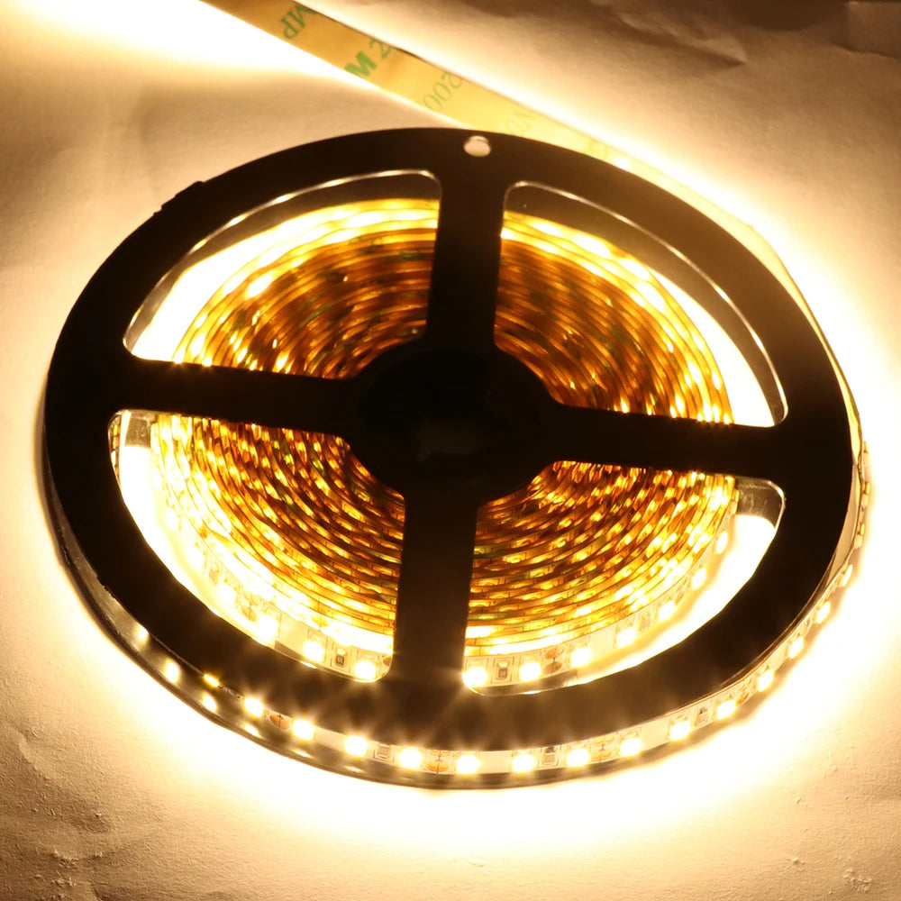 12V 5M LED Strip Light 5054 5050 2835 RGB SMD 120led 60LED Tape