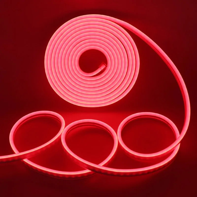 Neon Strip IP65 Waterproof DIY Home Decor Red Blue Pink White Ice Blue