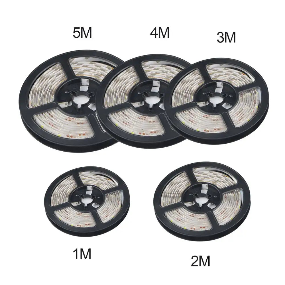 12V LED Strip Light 1M 2M 3M 4M 5M Dimmable LED Lamp Tape