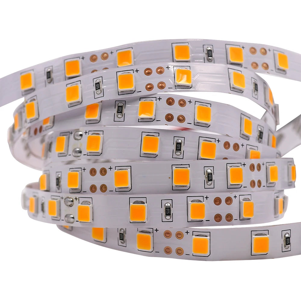 12V 5M LED Strip Light 5054 5050 2835 RGB SMD 120led 60LED Tape