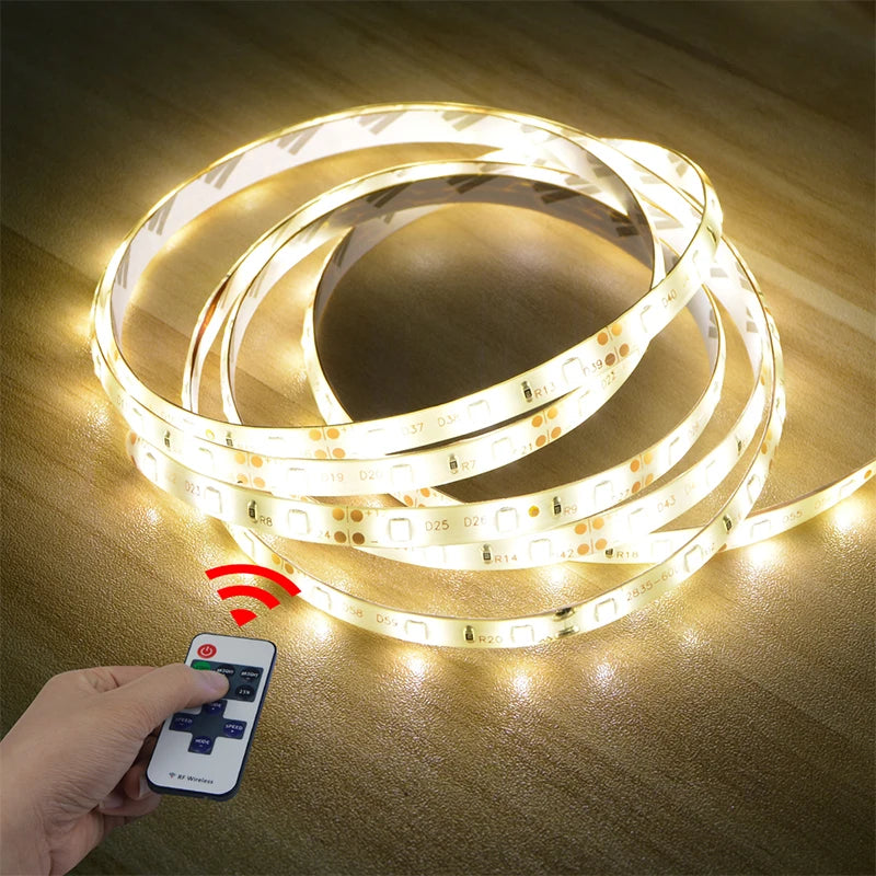 12V LED Strip Light 1M 2M 3M 4M 5M Dimmable LED Lamp Tape