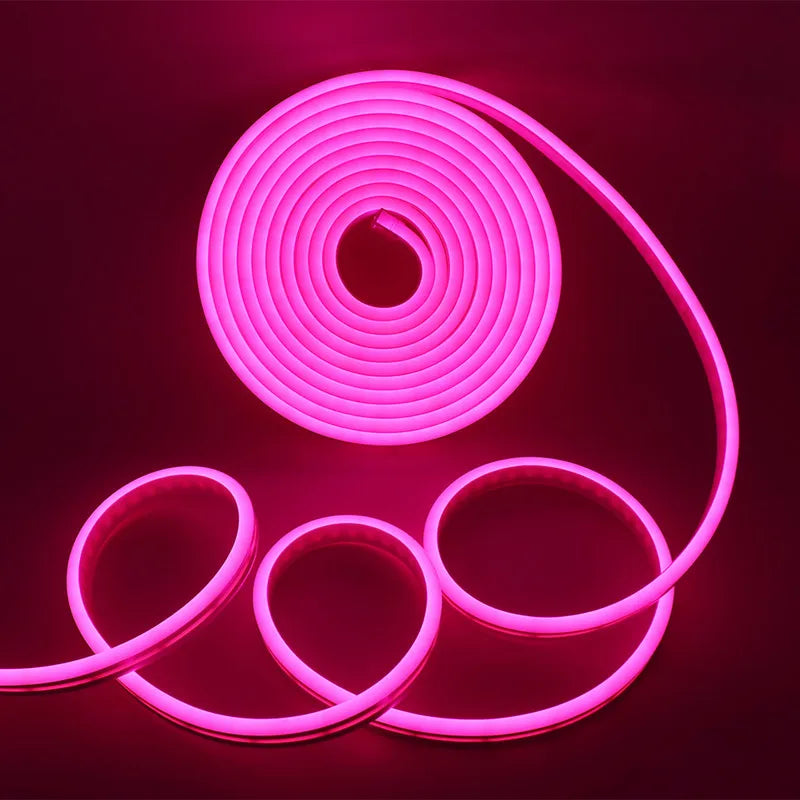Neon Strip IP65 Waterproof DIY Home Decor Red Blue Pink White Ice Blue