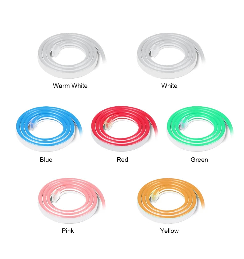DC12V Neon Light LED Strip with RF Remote Control SMD 2835