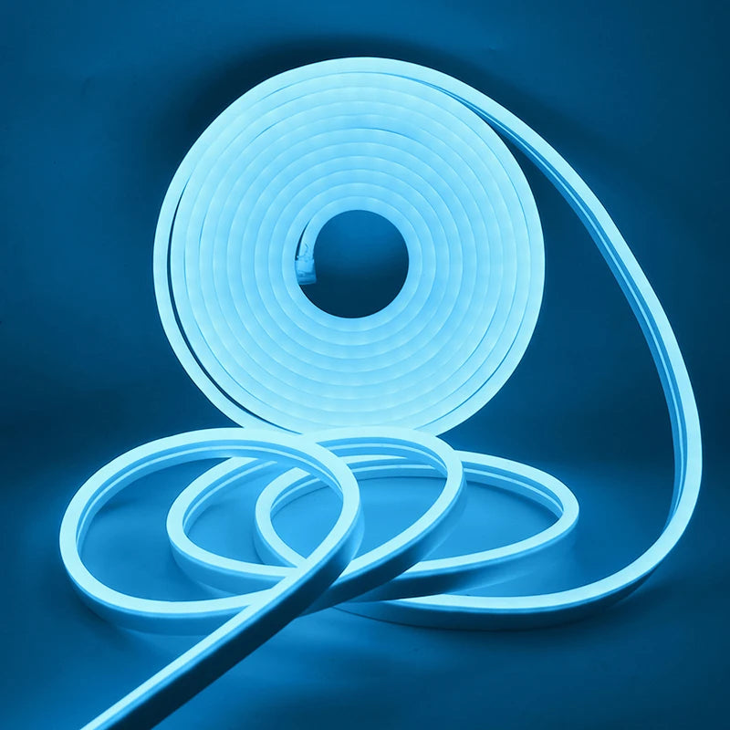 Neon Strip IP65 Waterproof DIY Home Decor Red Blue Pink White Ice Blue