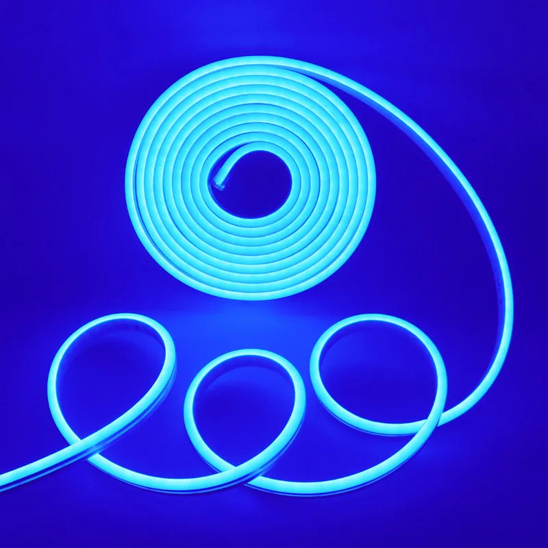 Neon Strip IP65 Waterproof DIY Home Decor Red Blue Pink White Ice Blue