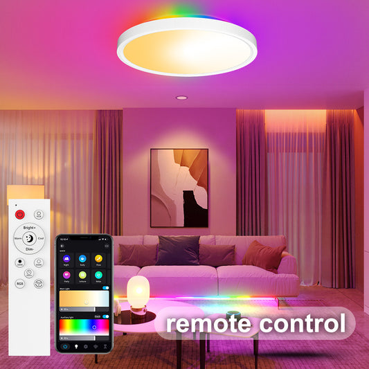 Smart Wifi Bluetooth Remote Control Dimming Magic Color Ceiling Light