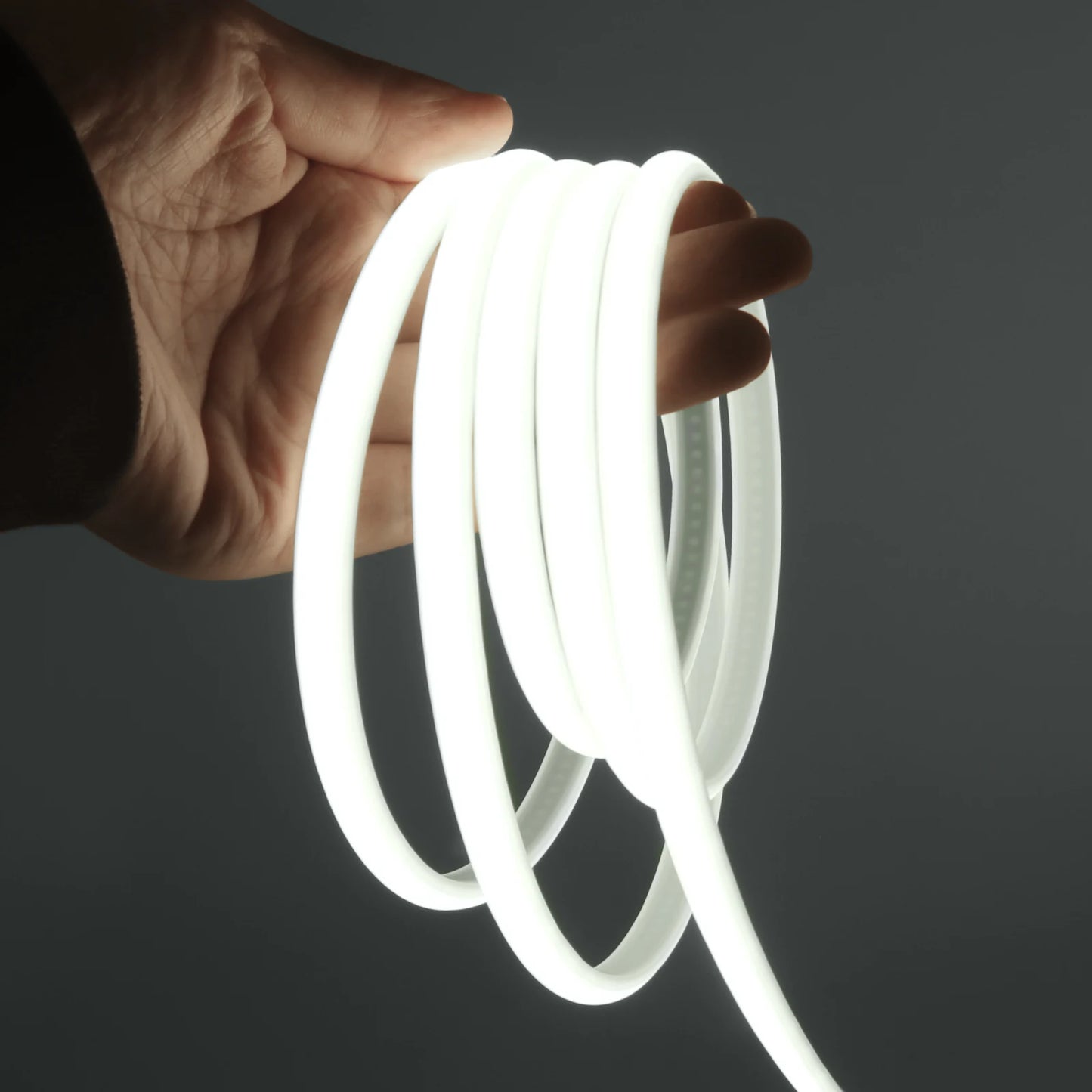 AC 220V/110V Timing Dimmable COB Neon Strip Decor