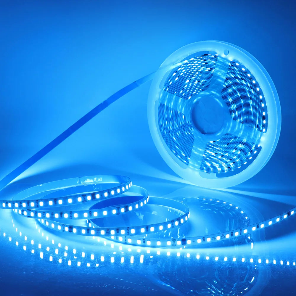 5m 10m 20m 50m Led Strip Light Waterproof IP44 220V 230V