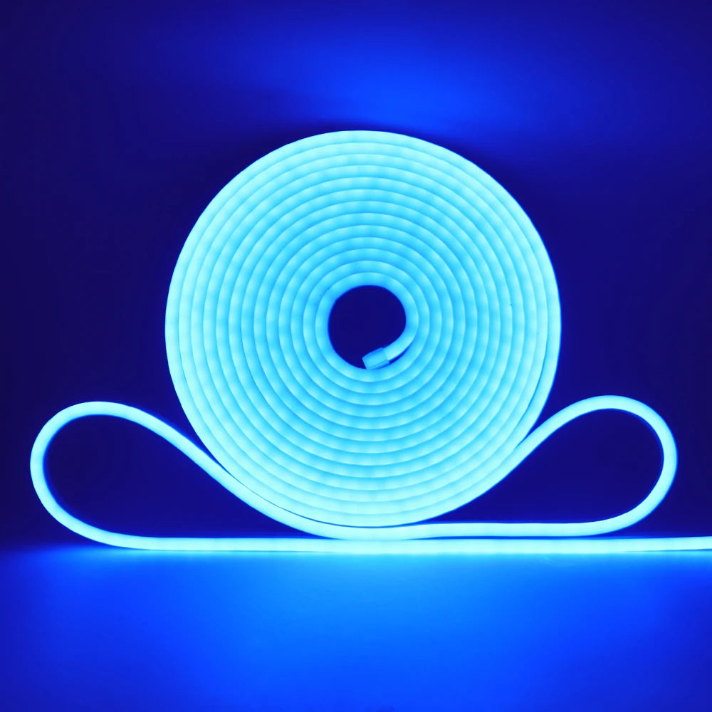 5V 12V 24V Neon LED Strip With 2Pin Wire 120LEDs/M IP67 Silicon Tube Bar