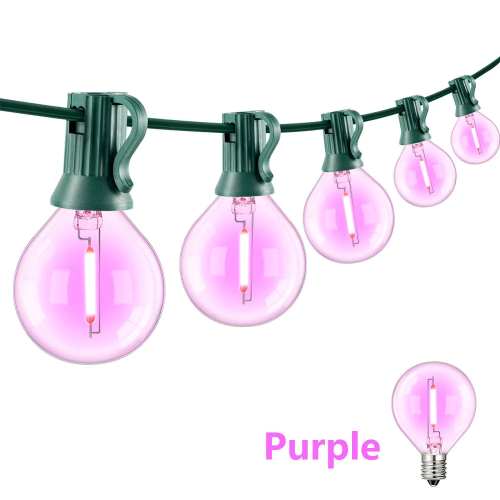 Colorful Outdoor Lights Garland G40 Garden String Light