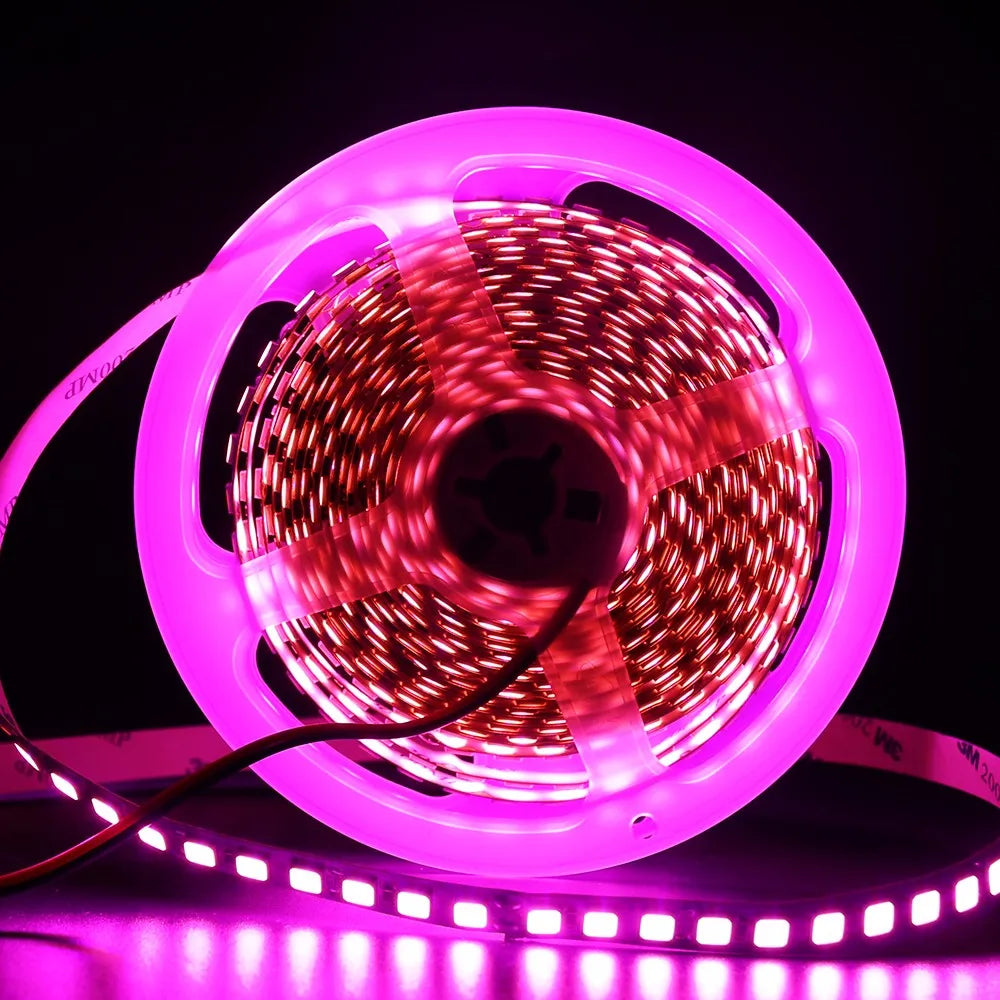 12V 5M LED Strip Light 5054 5050 2835 RGB SMD 120led 60LED Tape