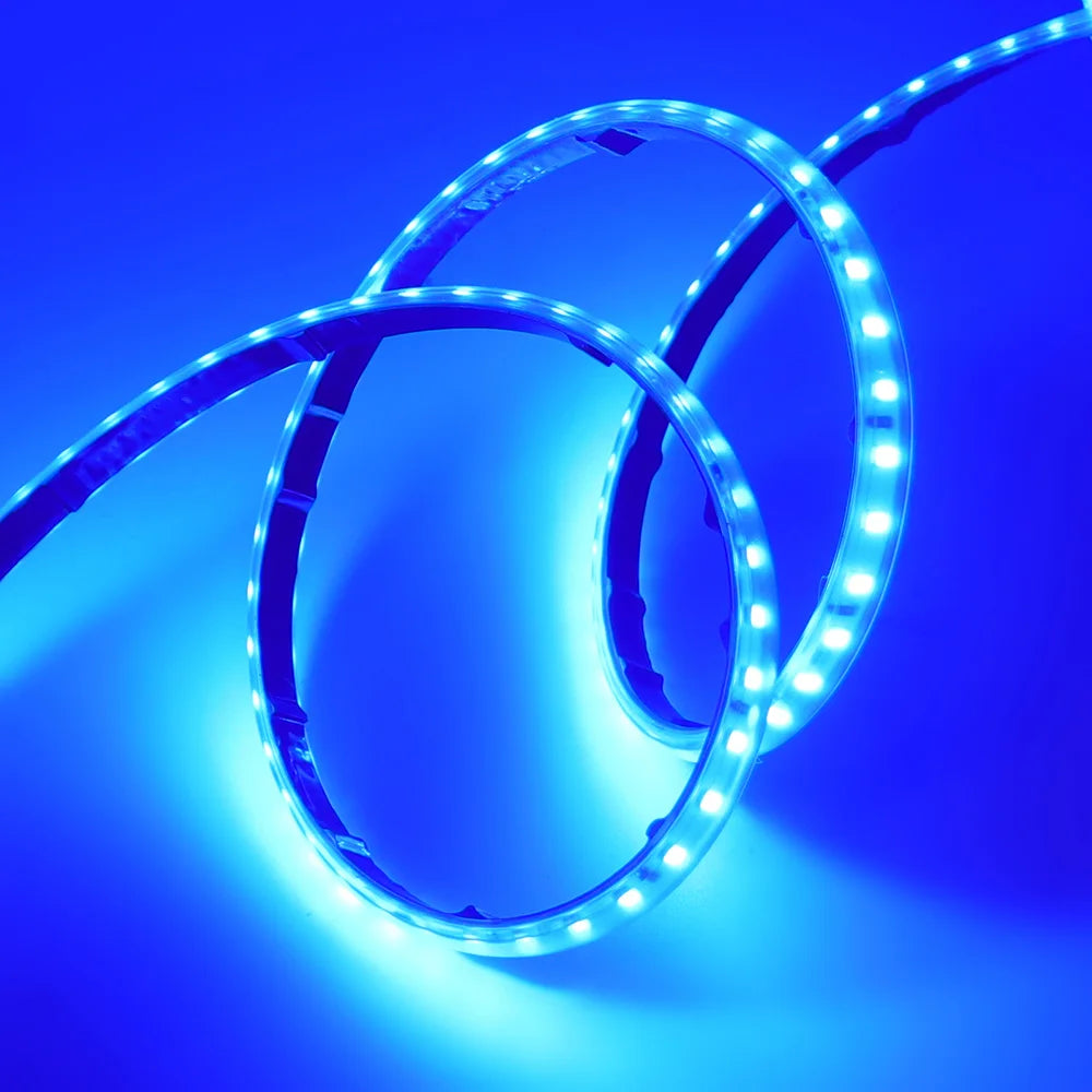 LED Strip Light Switch Power Kit 120LED/m AC 220 V Volt High Brightness Lighting