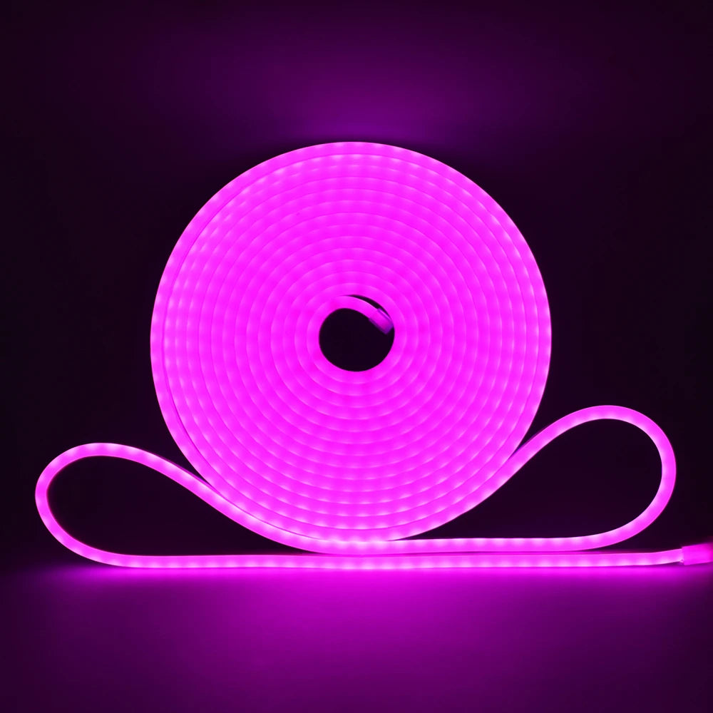 5V 12V 24V Neon LED Strip With 2Pin Wire 120LEDs/M IP67 Silicon Tube Bar