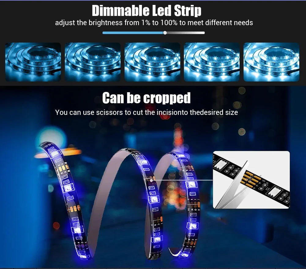 LED TV Led Backlight RGBIC USB Strip Light with AR Color