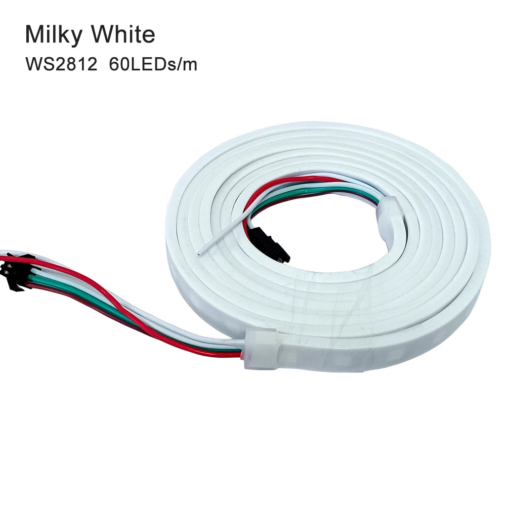 WS2812B LED Strip Individually Addressable IP67 Waterproof