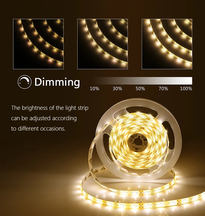 Dimmable LED Strip Lights With RF Remote Controller
