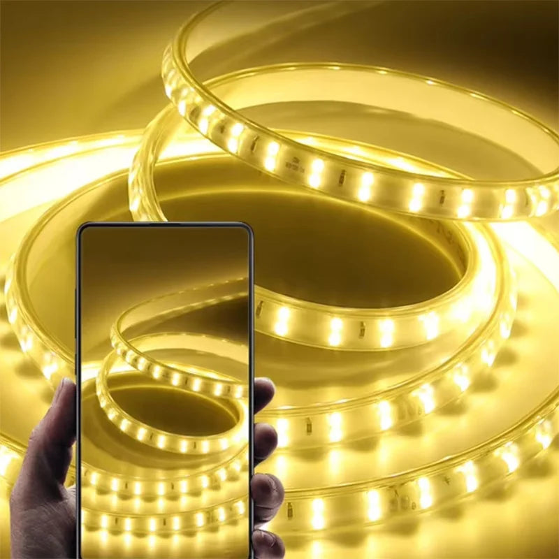 220V Led Strip 1-30m With Eu Plug 2835 Flexible Ribbon Light